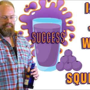 Truth About Success - What Does "Having It All" Feel Like? Is The Juice Worth The Squeeze?