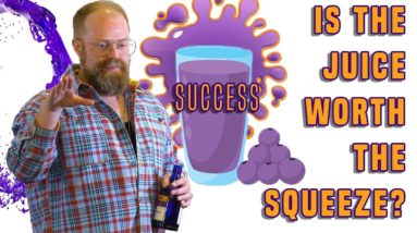 Truth About Success - What Does "Having It All" Feel Like? Is The Juice Worth The Squeeze?