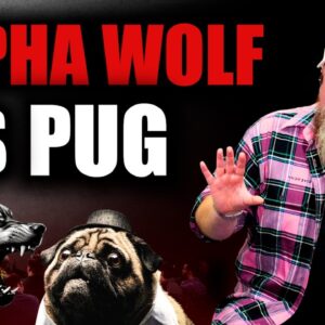 Are You The APEX ALPHA WOLF Or PERMA-COPE PUG With Money & Dating?