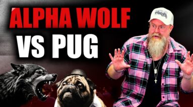 Are You The APEX ALPHA WOLF Or PERMA-COPE PUG With Money & Dating?